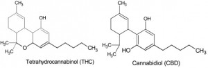 THC & CBD_molecule