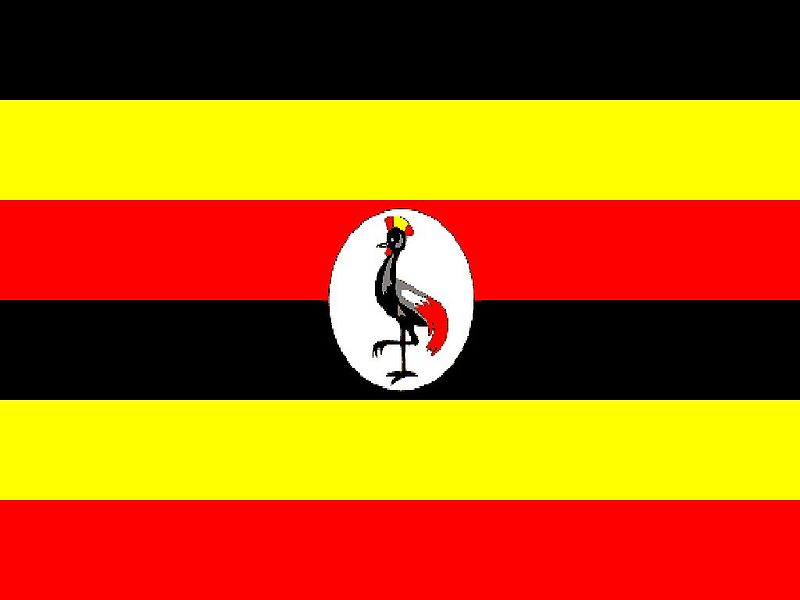 David Kato and Homophobia in Uganda