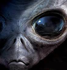 The Detailed Universe, Area 51 & Gray Aliens