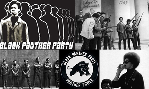 Ignorance in Education: Black Panther Party vs. KKK