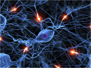Feed Your Head: Harnessing Neurogenesis